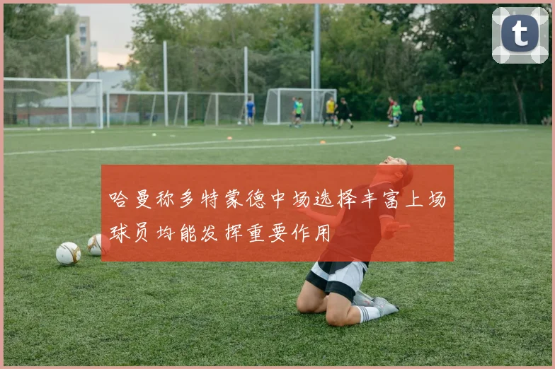 哈曼称多特蒙德中场选择丰富上场球员均能发挥重要作用